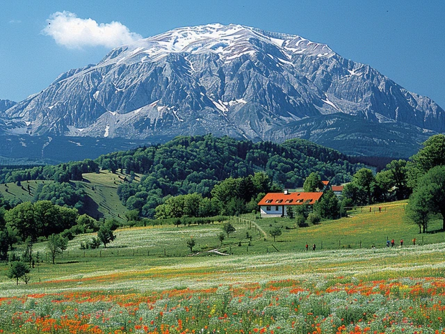 Nejvyšší hora České republiky: Kde ji najít a co vidět